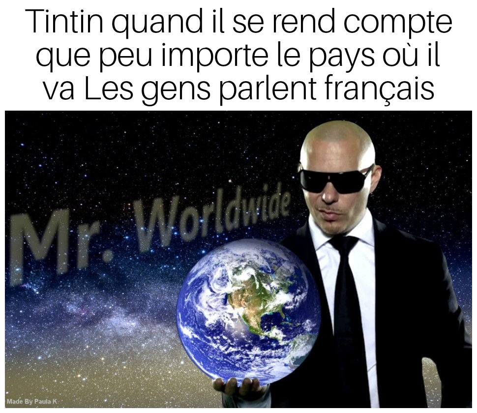 Tintin le multilingue - meme