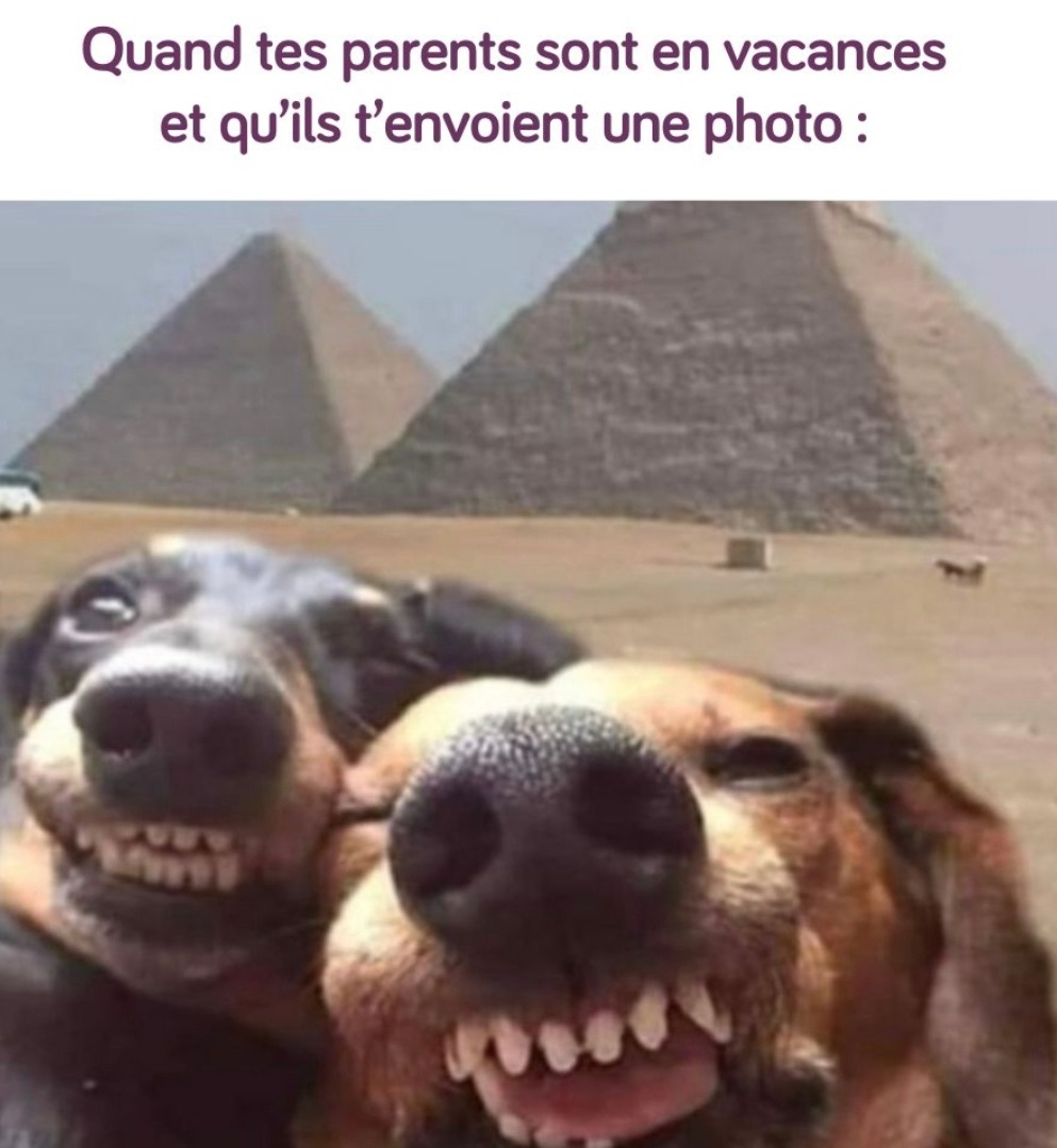 Tes parents en mode vacances pendant que t'es au taf - meme
