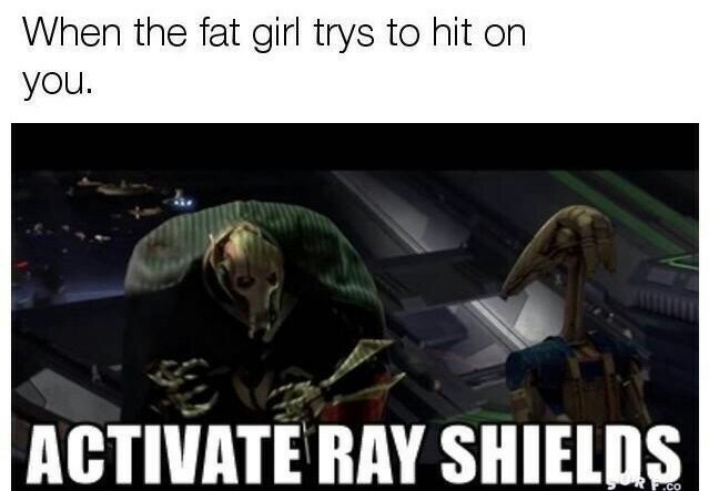Ray Sheilds are the ultimate defense. - meme