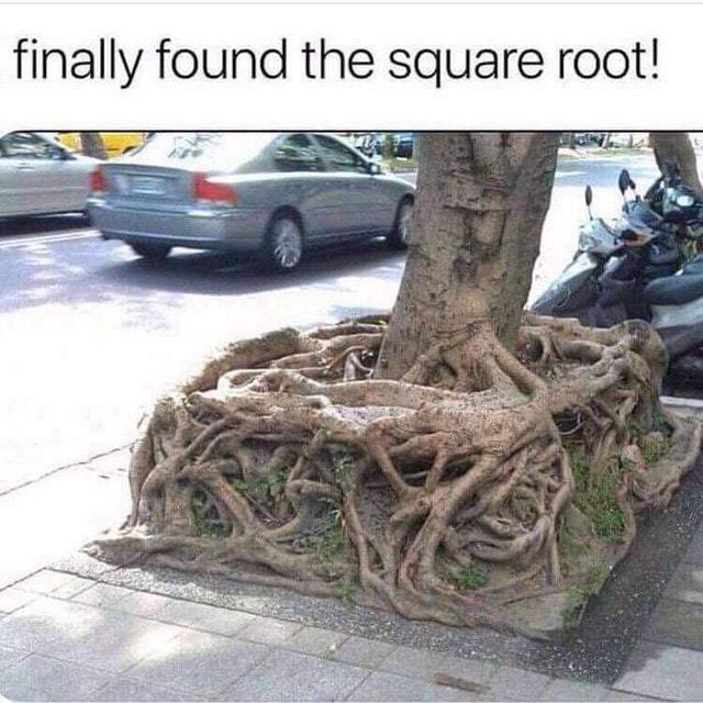 Square root: graphic representation - meme