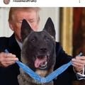 Good boy!