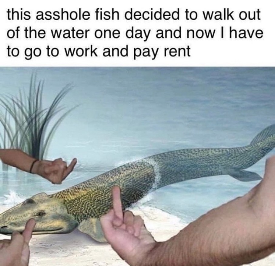To hell with that fish - meme