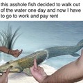 To hell with that fish