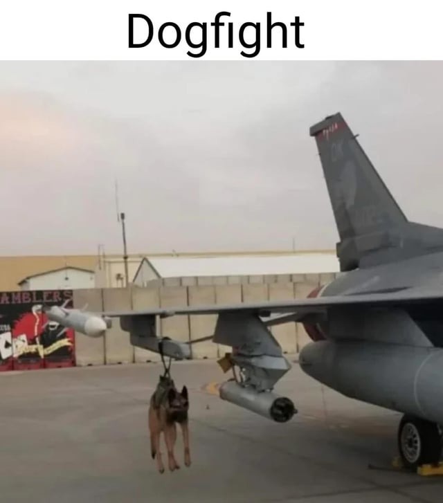 Dogfight - meme