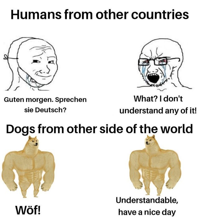 Dog language - meme