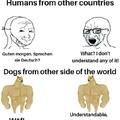 Dog language
