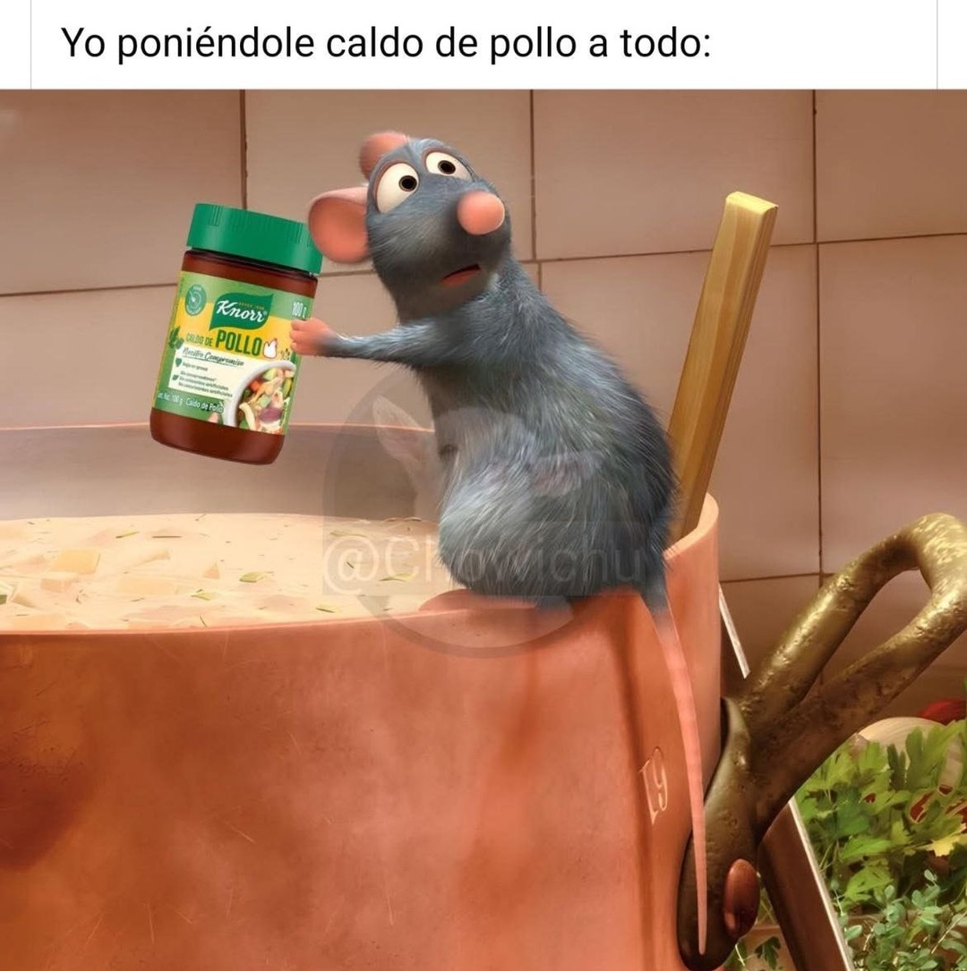 Caldo de pollo para arreglar cualquier plato - meme