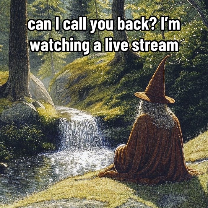 can I call you back? I’m busy watching someone else live - meme