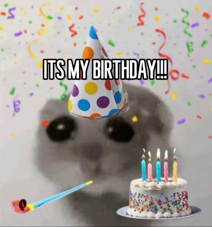 Es mi cumpleaños bola de imbéciles - meme