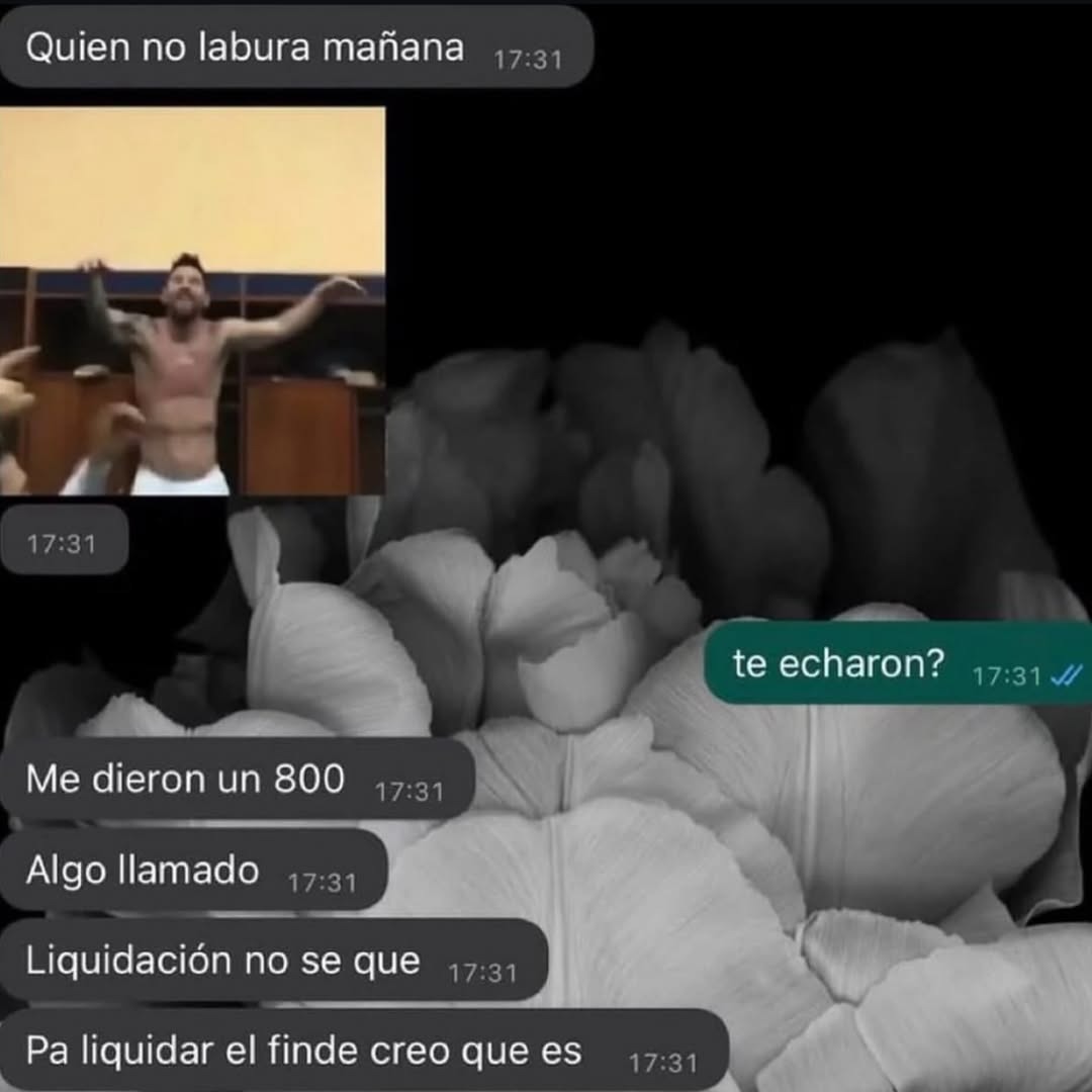 Me liquidaron pero creo que es pa'l finde tranqui - meme