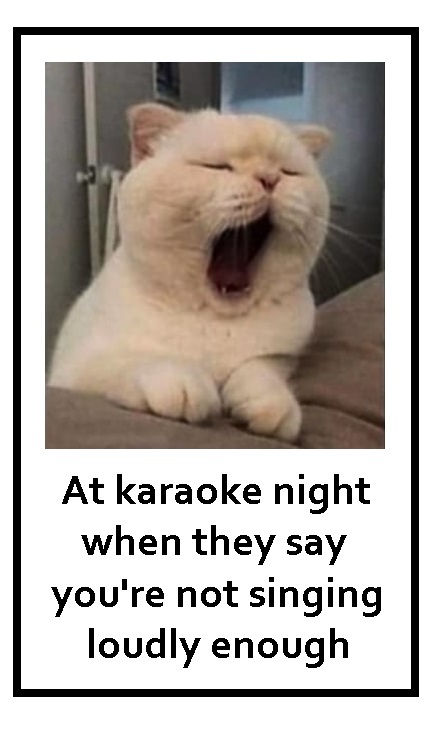 The best Singing memes :) Memedroid