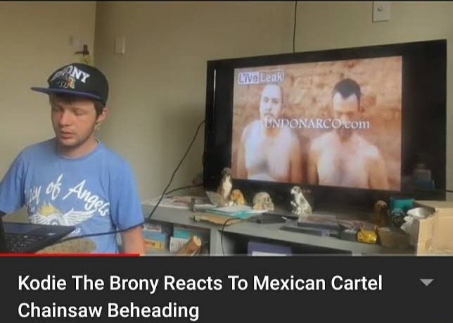 Kodie El brony relaciona al cartel mexicano no se qué - meme