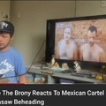 Kodie El brony relaciona al cartel mexicano no se qué