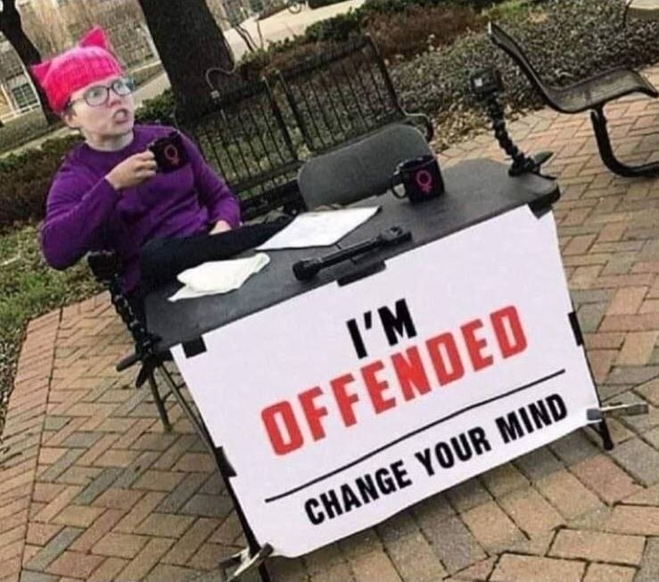 It must be right if WOKE lunatics are offended! - meme