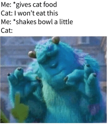 Cats are weird sometimes XD - meme