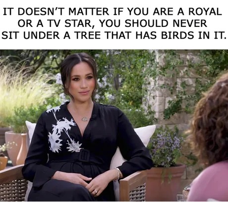 Royalty - meme