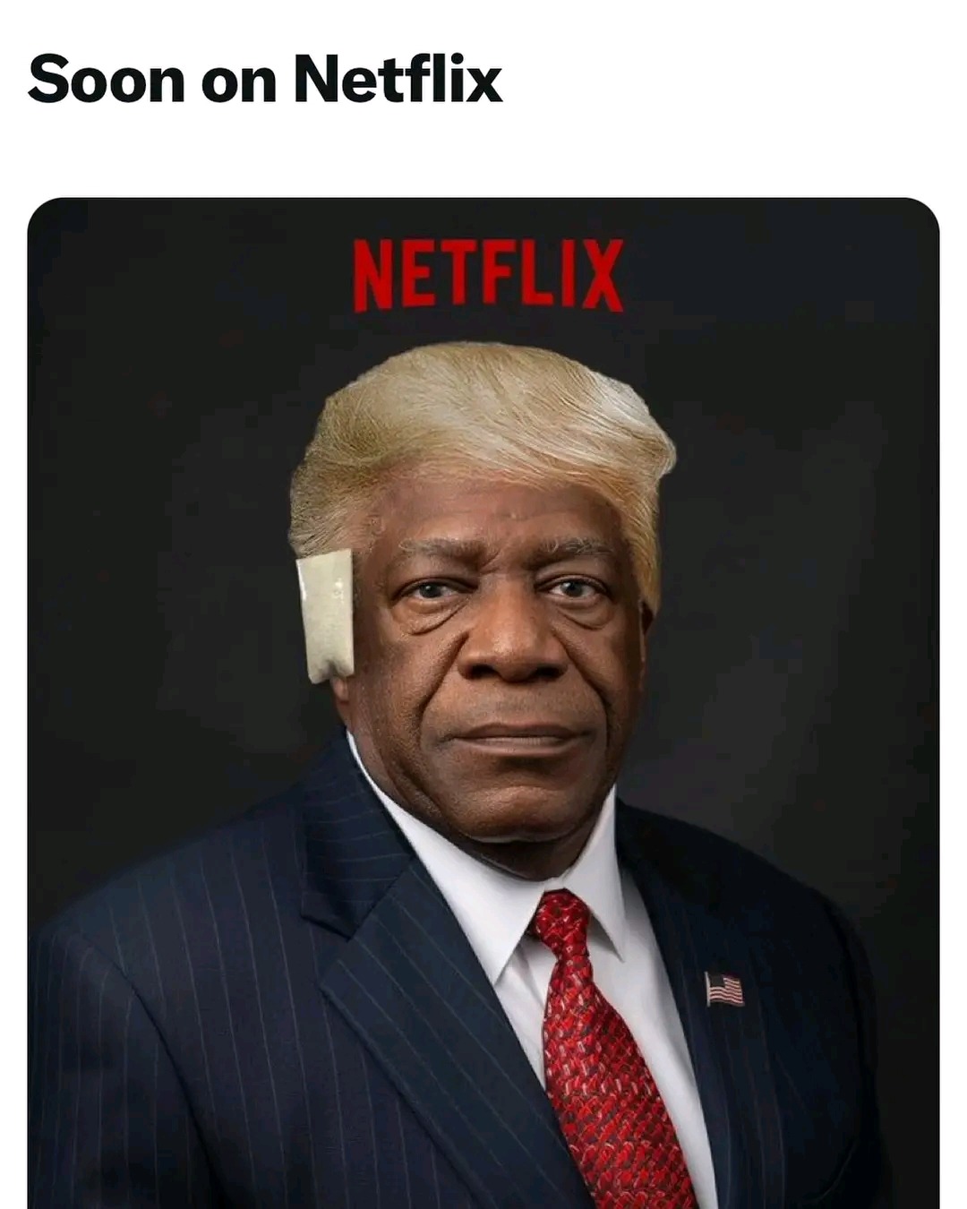 Netflix Adaptation - meme