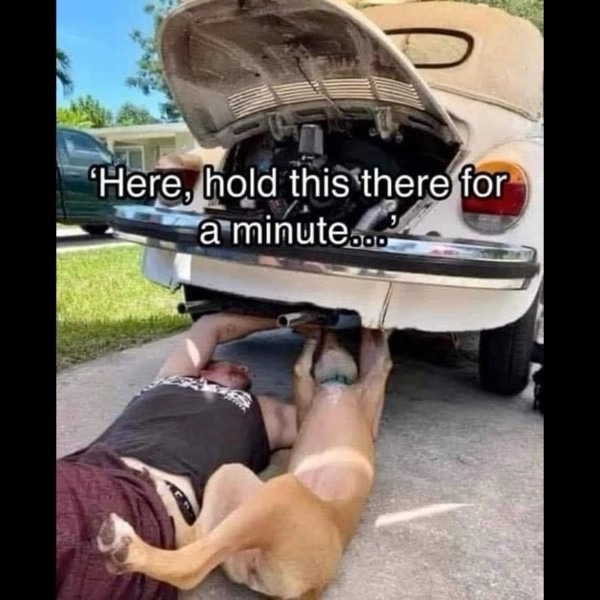 Title - meme