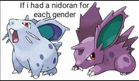 Nidotumblr gender fluid - meme