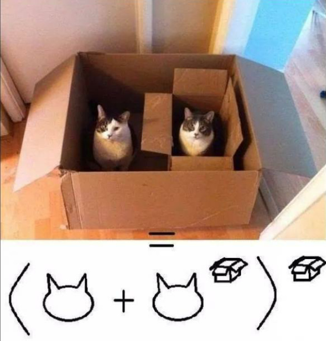 Las gatoecuaciones de matemática - meme