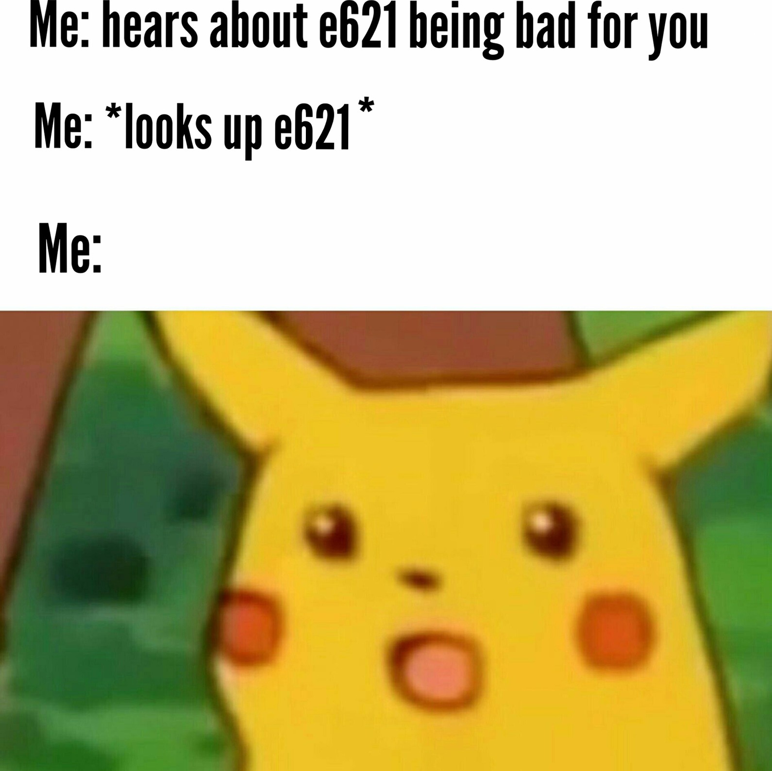 e621.net - meme