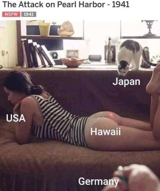 Go to Hawaii - meme