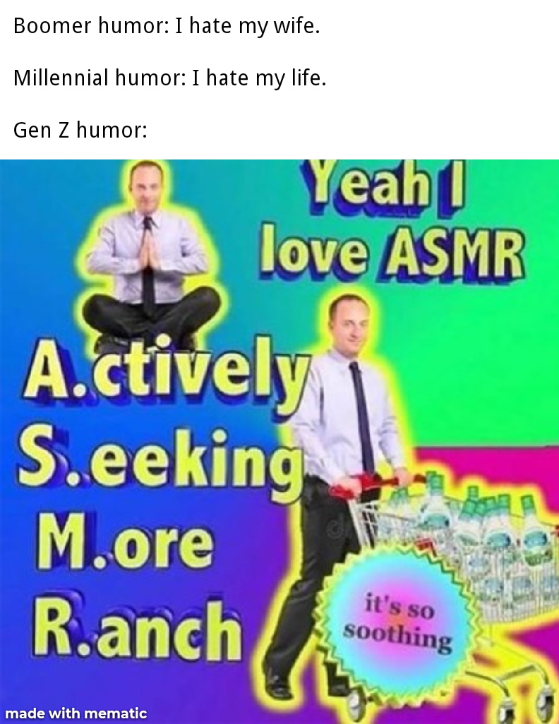 Gen Z Humor - meme