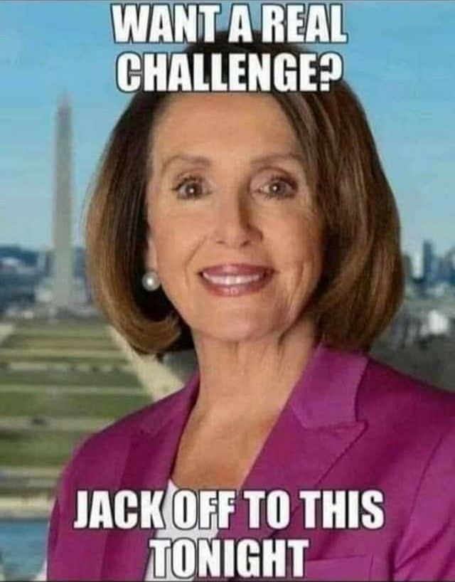 Pelosi is such a piece of shit - meme