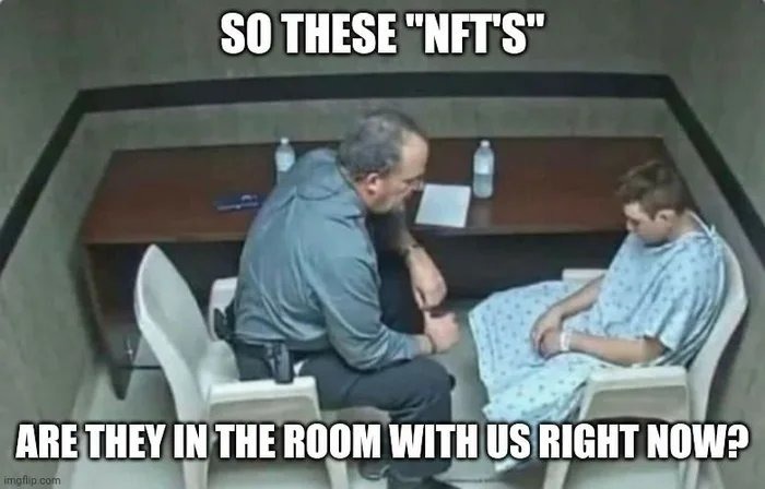 The NFTs made me do it! - meme