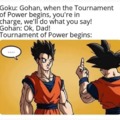 Tournament of Power meme