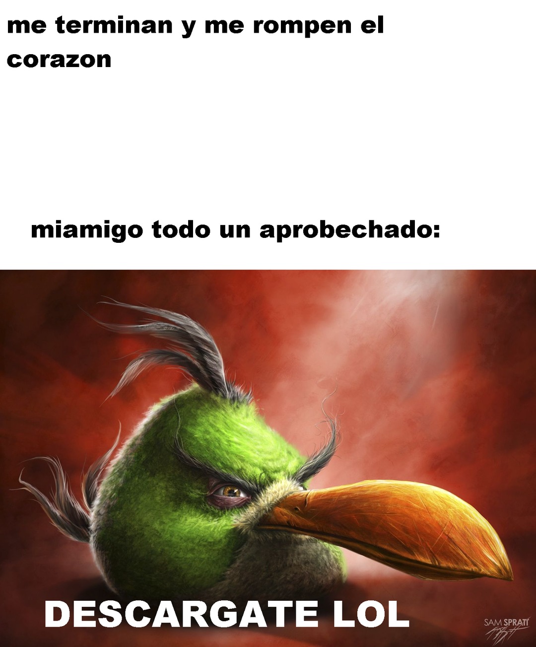 meme de angry birds
