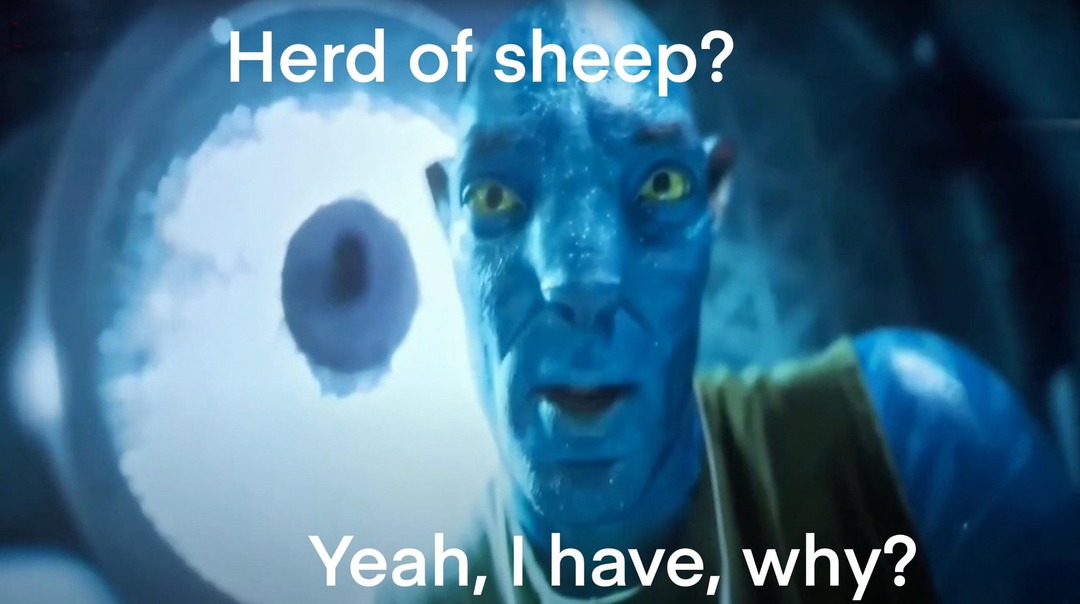 August 1st - meme