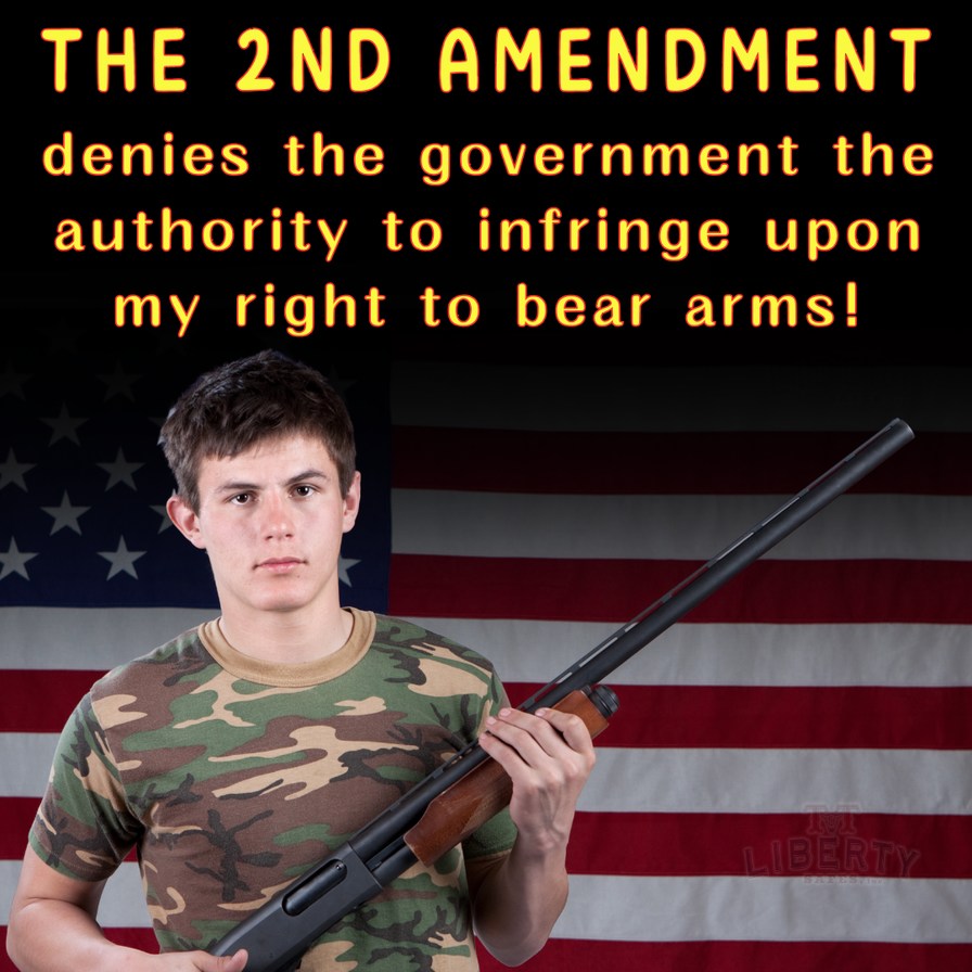 2nd Amendment - meme