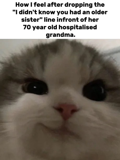 I didn't know you had an older sister - meme