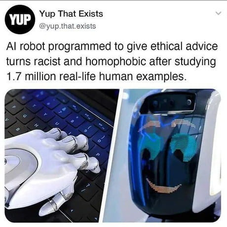AI learns from humans, instantly becomes racist - meme