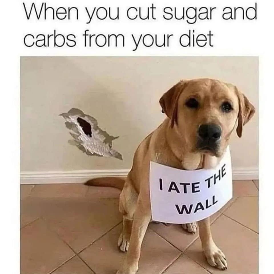 week one of no carbs and I’m chewing drywall - meme