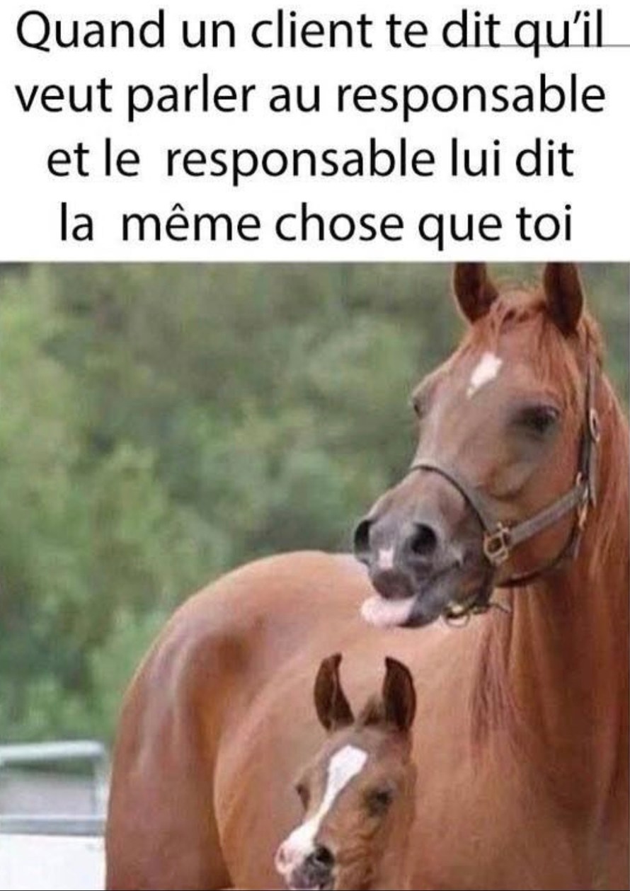 Quand le manager répète exactement ta phrase au client - meme