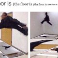 the floor id