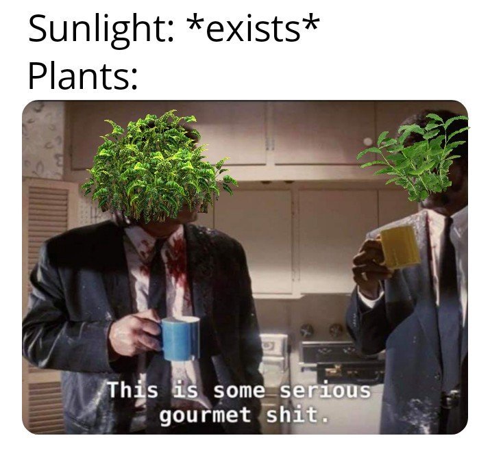Did someone say PHOTOSYNTHESIS - meme