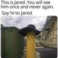 Jared is Bae