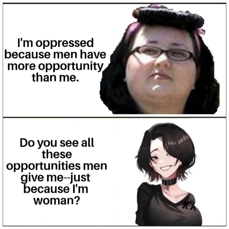 Oppressed Because Ugly - meme