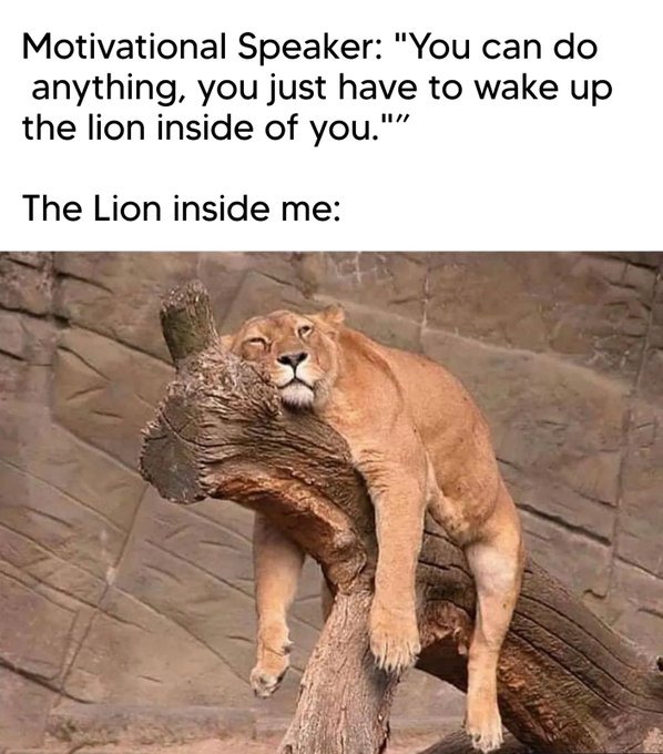 The lion inside me - meme