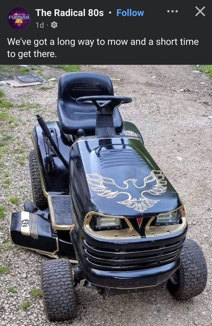 Zero chance you catch me on this without a cowboy hat - meme