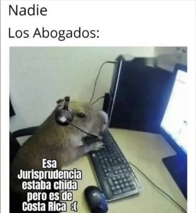Un buen meme de abogados la verdad