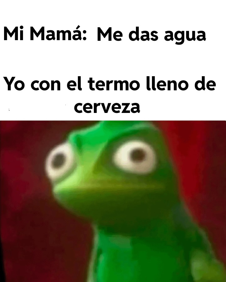 El termo lleno de misterio - meme