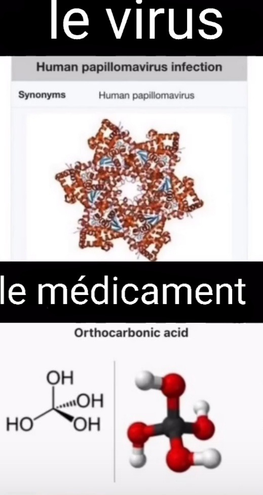 Ein volk ,ein reich ,ein antiviral - meme