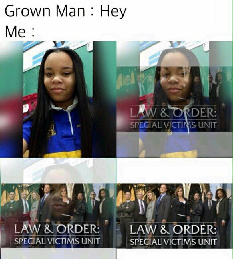Law & Order: Repost Unit - meme