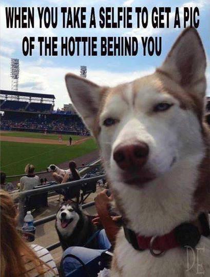 When you take a selfie to get a pic of the hottie behind you - meme