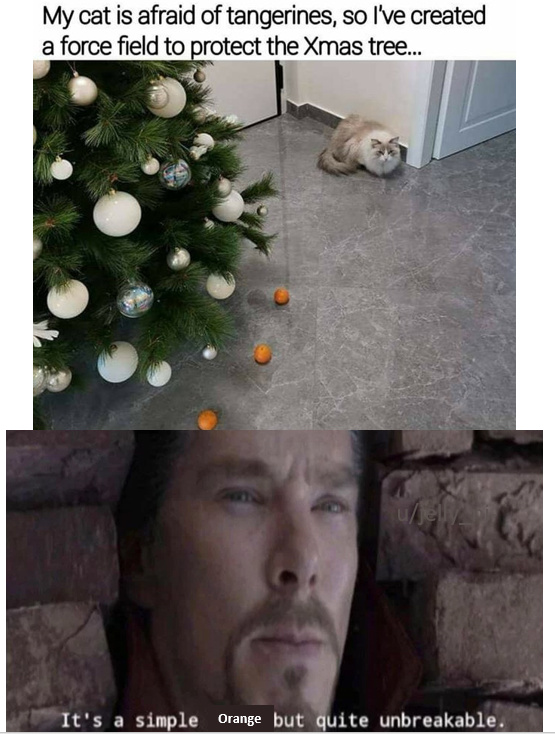 My cat is afraid of tangerines - meme