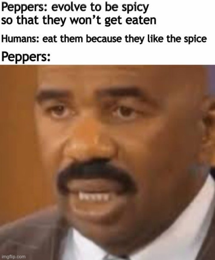 Peppers go brrr - meme